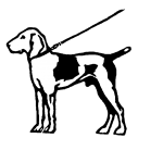 dog_on_leash
