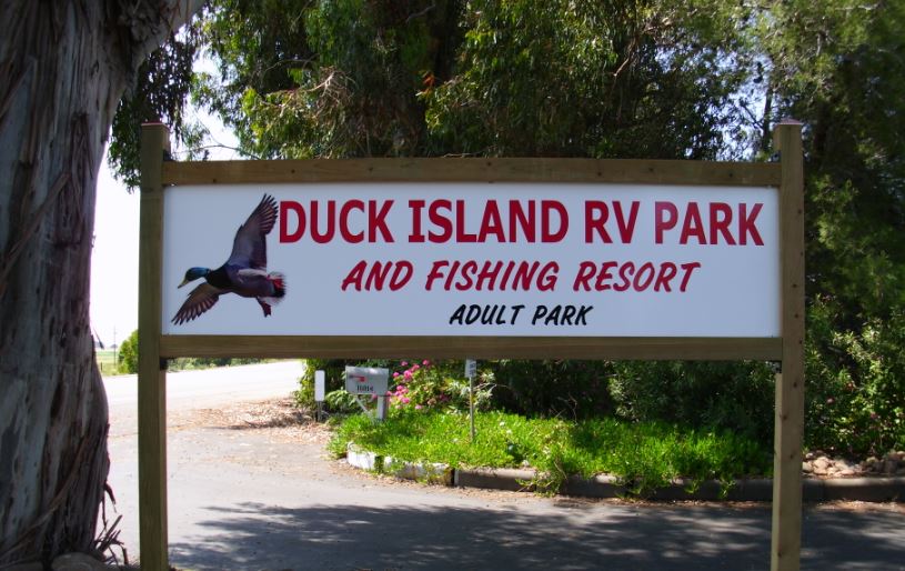 duck_is_sign_lg